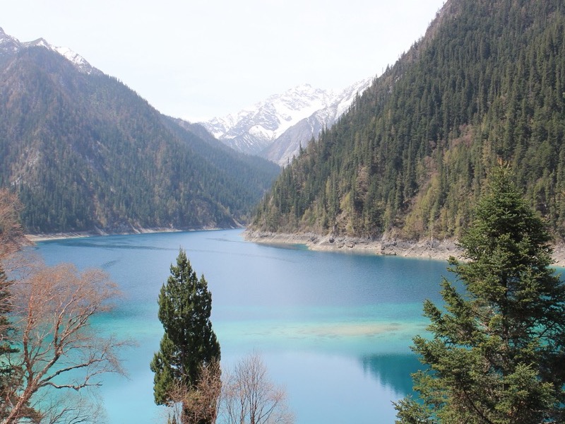 Turquoise lake and forested mountains in Jiuzhaigou